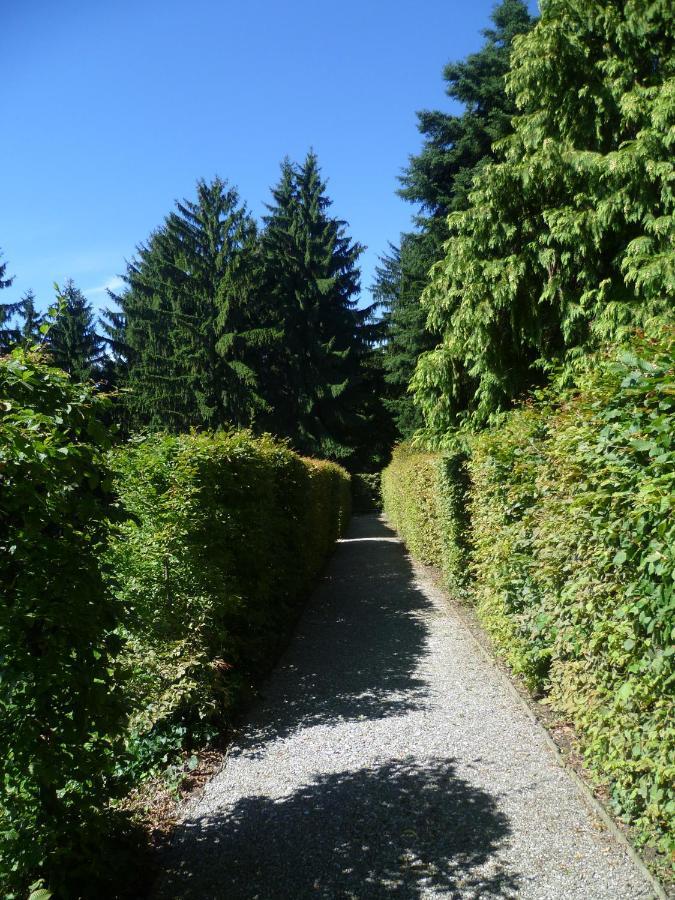 Il Colombe B&B Barzanò Eksteriør billede