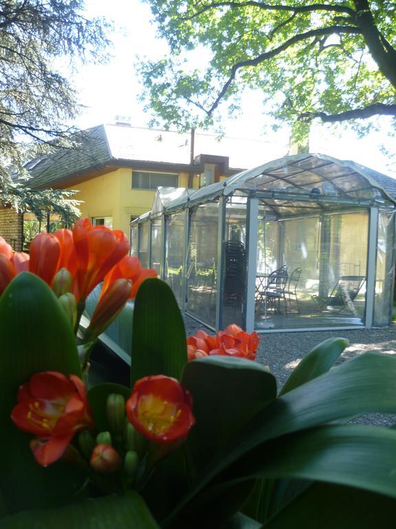 Il Colombe B&B Barzanò Eksteriør billede
