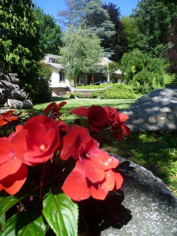Il Colombe B&B Barzanò Eksteriør billede